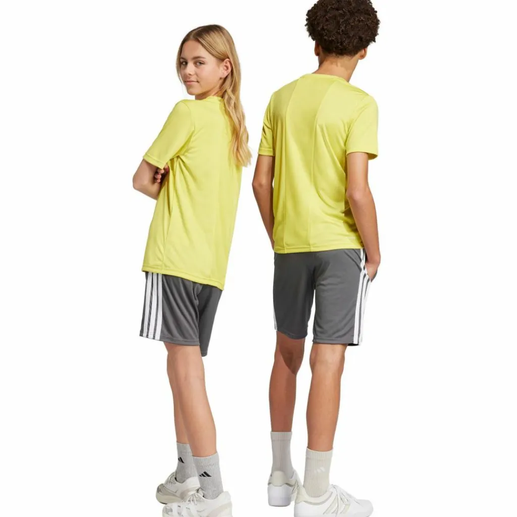 adidas Trainingsanzüge<· TRAIN ESSENTIALS 3 STRIPES pursul-white