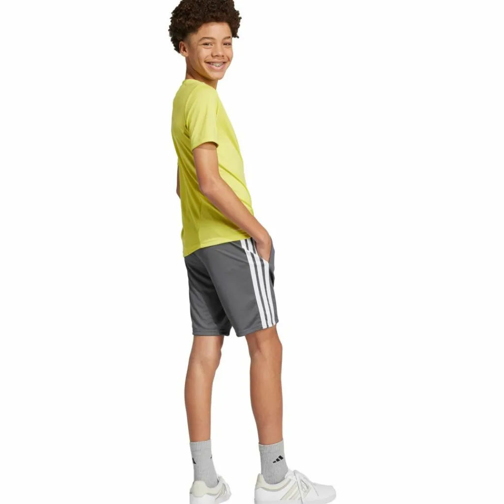 adidas Trainingsanzüge<· TRAIN ESSENTIALS 3 STRIPES pursul-white