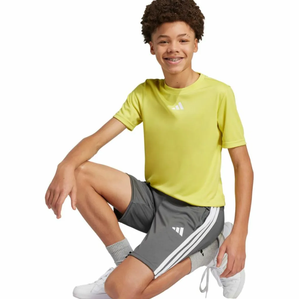 adidas Trainingsanzüge<· TRAIN ESSENTIALS 3 STRIPES pursul-white