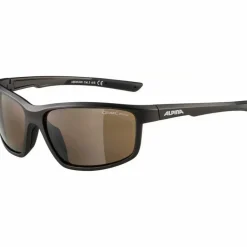 ALPINA Radsport|Fahrradbrillen<· DEFEY tin-black matt