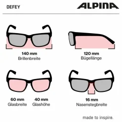 ALPINA Radsport|Fahrradbrillen<· DEFEY tin-black matt