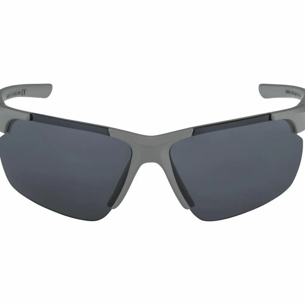 ALPINA Fahrradbrillen|Brillen<· DEFEY HR moon-grey matt