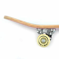 Apollo Skateboarding<· Donut 24 Zoll mehrfarbig