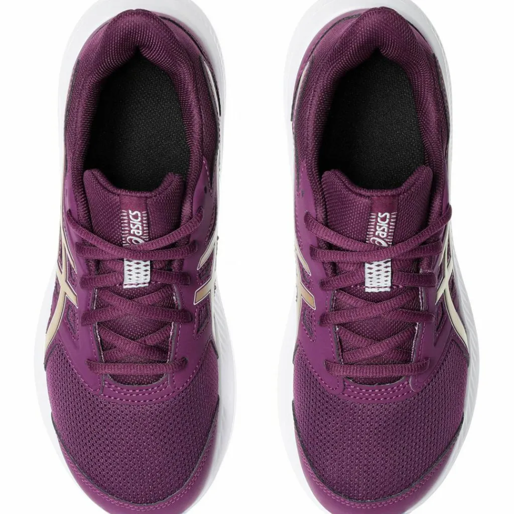 ASICS Laufen|Laufschuhe<· JOLT 4 GS deep mauve-champagne