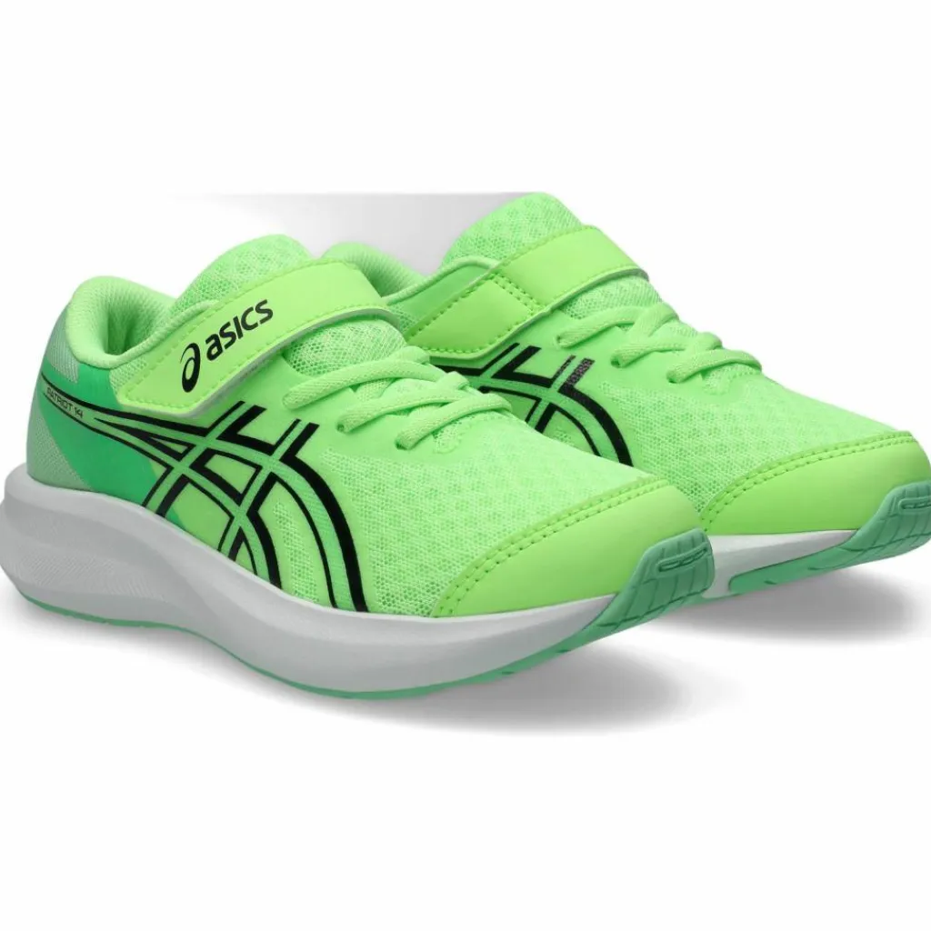 ASICS Laufen|Laufschuhe<· PATRIOT 14 PS illuminate green-black