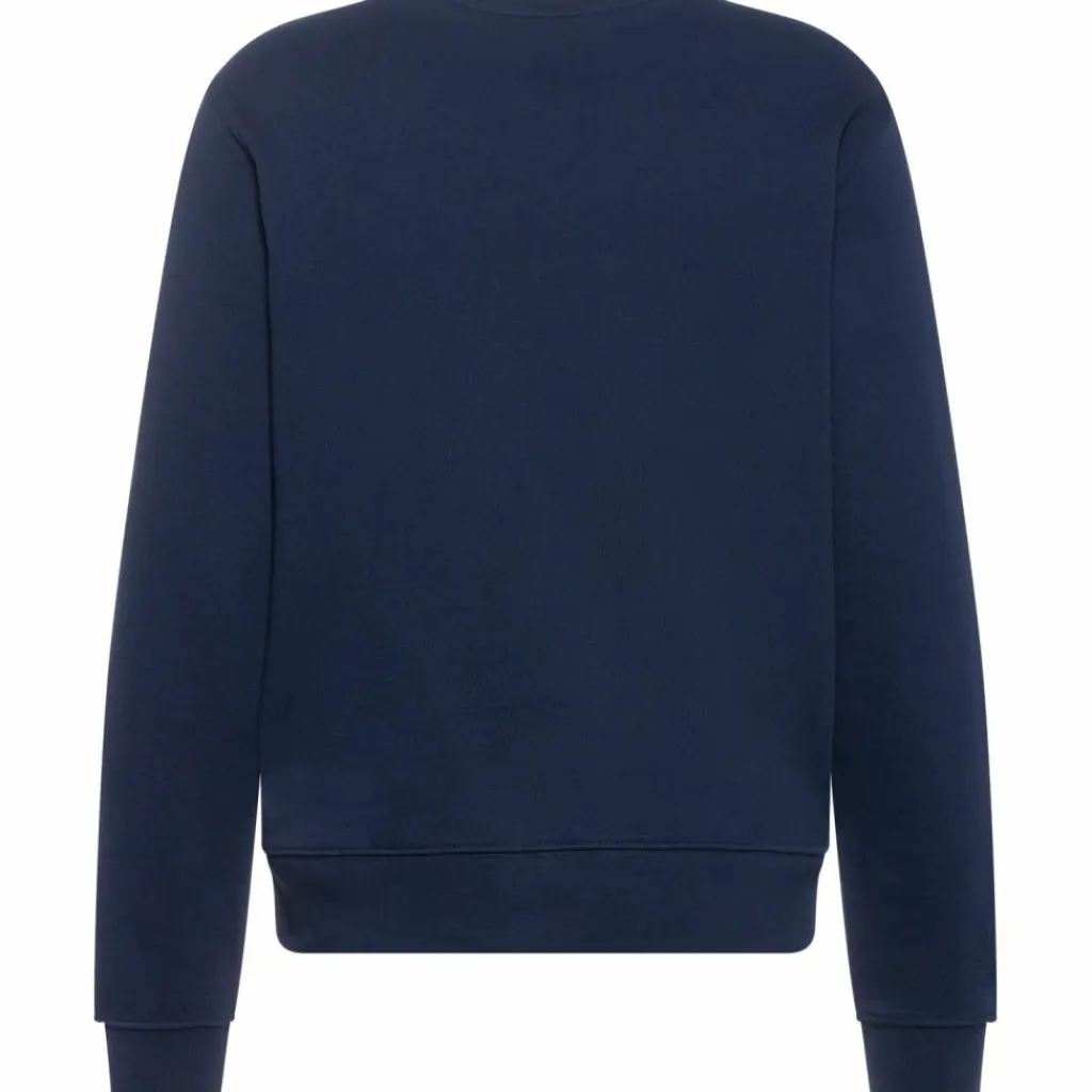 BEAR Pullover & Sweats< sky captain