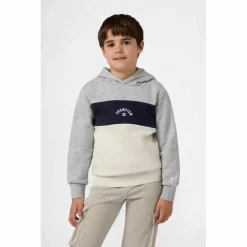 CHAMPION Pullover & Sweats<· LEGACY ICONS new oxford grey melange