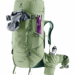 Deuter Rucksäcke|Trekkingrucksäcke<· Aircontact Core 55+10 SL grove-ivy