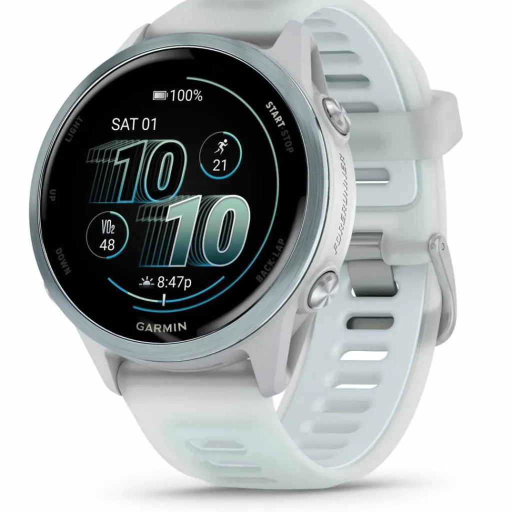 Garmin Wandern|Training<· Forerunner 570 steinweiss-cloud blue