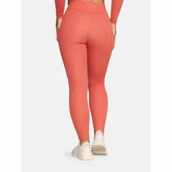 Gold's Gym Klettern & Bouldern|Klettern<· BROOKE astro dust