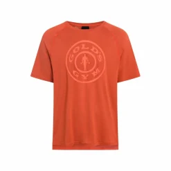 Gold's Gym Klettern|Basketball<· KURT Grenadine