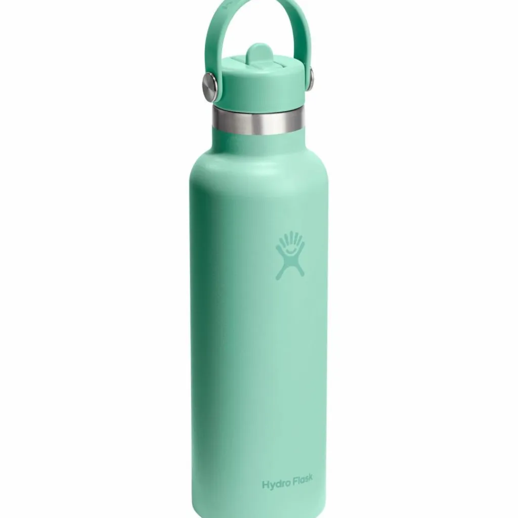 Hydro Flask Trinkzubehör|Trinkzubehör<· 21 OZ STANDARD FLEX STRAW mermaid green