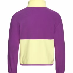 Jack Wolfskin Pullover & Sweats<· COLORBLOCK TAUNUS HZ K daisy