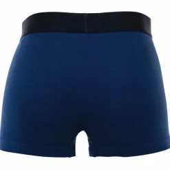Lacoste Unterwäsche<· Boxershort Dunkelblau/Grau