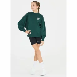 Les'Arcs Pullover & Sweats<· Celinda 3200 Sea Moss