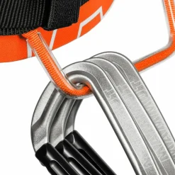 Online · 4 Slide Damen Sicherung & Karabiner|Sicherung & Karabiner