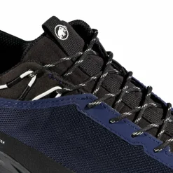 Online · Alnasca IV Low GTX Herren Wanderschuhe