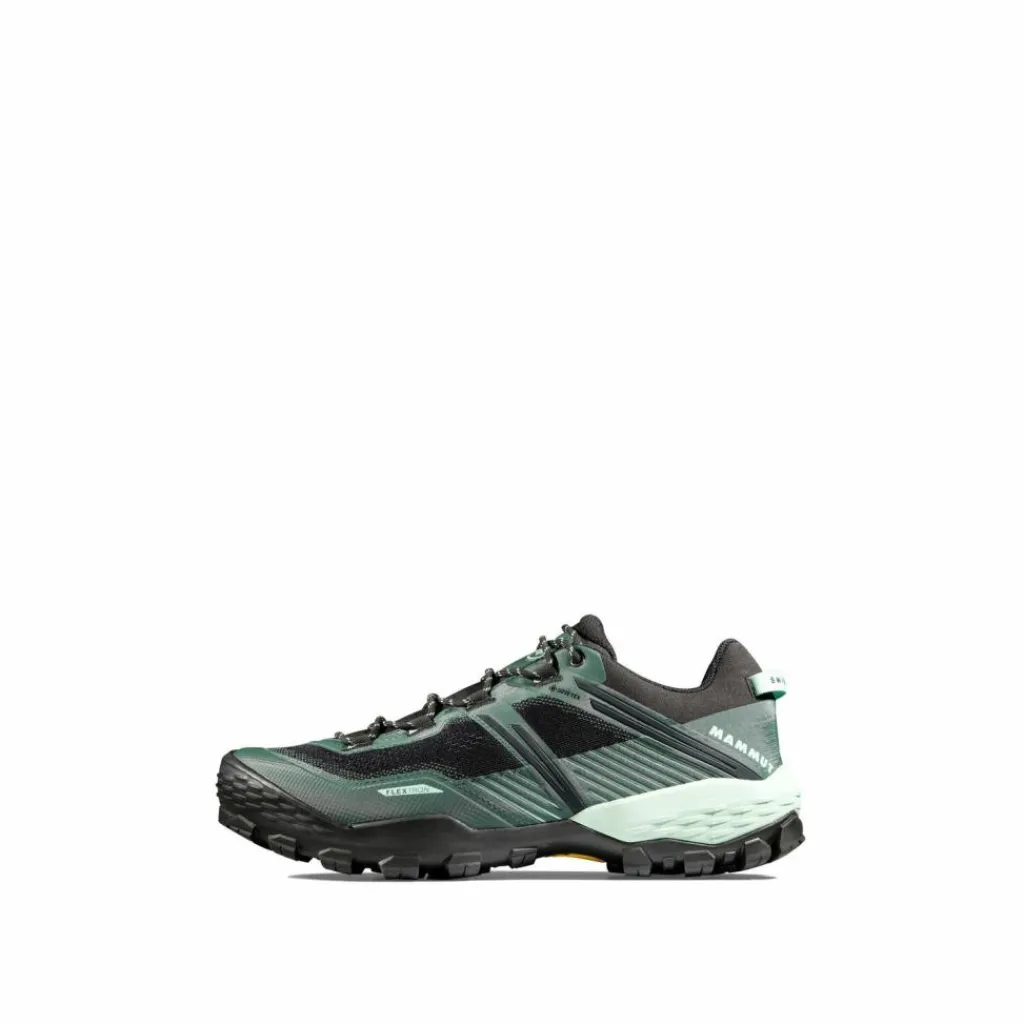 Hot · Ducan II Low GTX Herren Multifunktionsschuhe