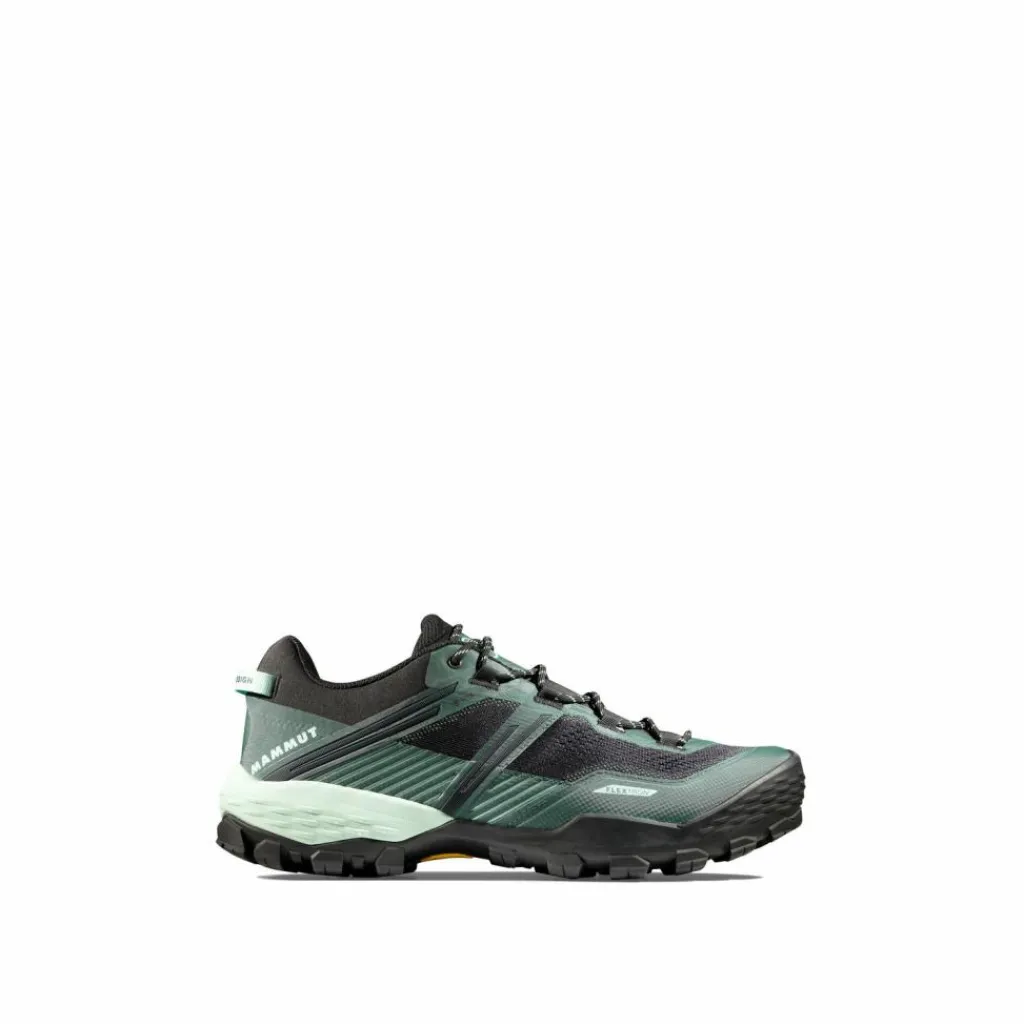Hot · Ducan II Low GTX Herren Multifunktionsschuhe