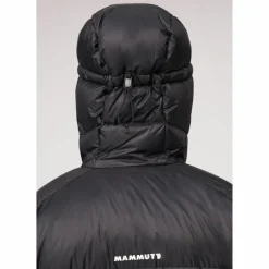 Mammut Winterjacken<· Glacier Glow deep teal