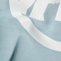 Mammut Klettern & Bouldern|Bergsteigen<· Classic ML Hooded nebla