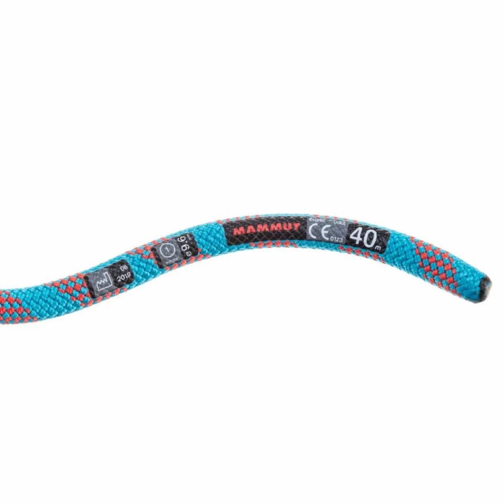 Mammut Klettern & Bouldern|Bergsteigen<· 9.6mm Performance Plus Classic ice mint-rasperry