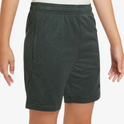 Nike Shorts<· Academy vintage green-black