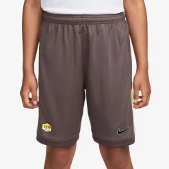 Nike Shorts<· KM K NK DF ACD25 SHORT SS -PD plum eclipse-plum eclipse-black