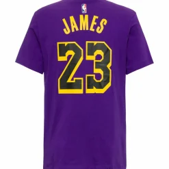 Nike Basketball|Basketball<· LEBRON JAMES LOS ANGELES LAKERS field purple