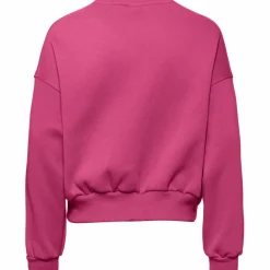 Nike Pullover & Sweats<· NSW CLUB FLEECE sweet beet-sweet beet-white