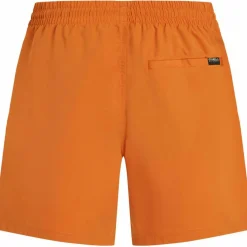 O'NEILL Schwimmen|Schwimmen<· CALI cinnamon stick