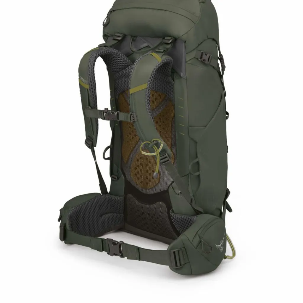 Osprey Trekkingrucksäcke|Wanderrucksäcke<· Kestrel 38 bonsai green