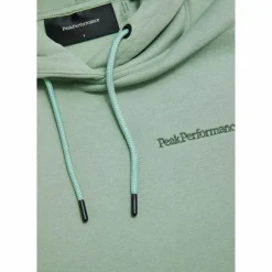 Peak Performance Pullover & Sweats<· W Original Small Logo Hood SALBEI
