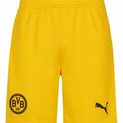 New · Borussia Dortmund 25-26 Herren Fußball