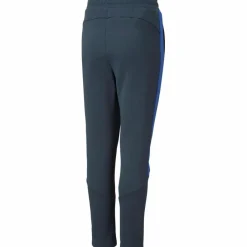 PUMA Hosen|Training<· EVOSTRIPE dark night