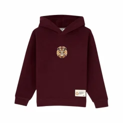 PUMA Pullover & Sweats<· GSSTORE X Reflect Studio Lion Hoody Kids rot