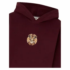 PUMA Pullover & Sweats<· GSSTORE X Reflect Studio Lion Hoody Kids rot