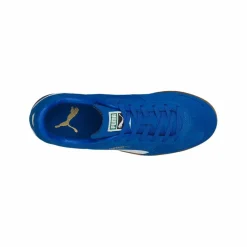 PUMA Hallenschuhe<· Handball Weiß blauweiss