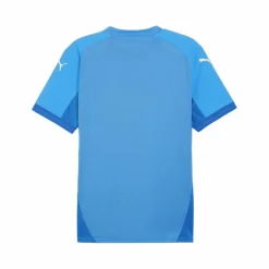 PUMA Trikots<· teamFINAL Trikot blaublau