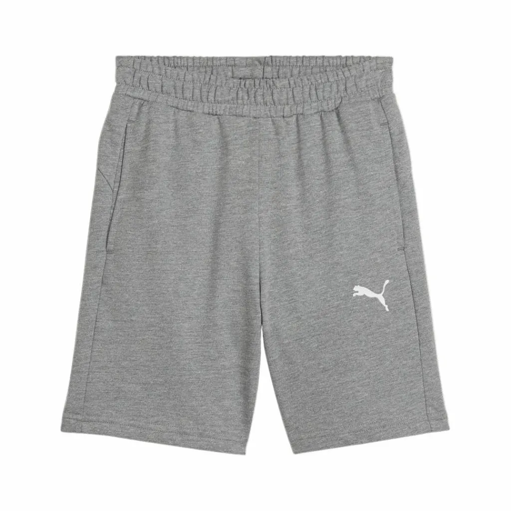 PUMA Shorts<· teamGOAL Casuals Shorts Kids grauweiss
