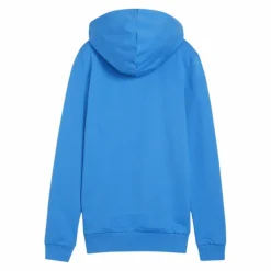 PUMA Pullover & Sweats<· teamGOAL Casuals Hoody Damen blauweiss