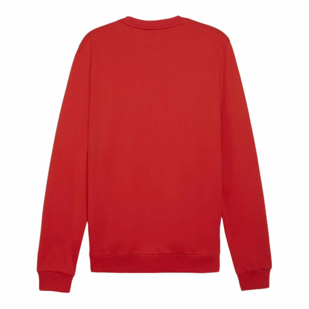 PUMA Pullover & Sweats<· teamGOAL Casuals Sweatshirt rotweiss