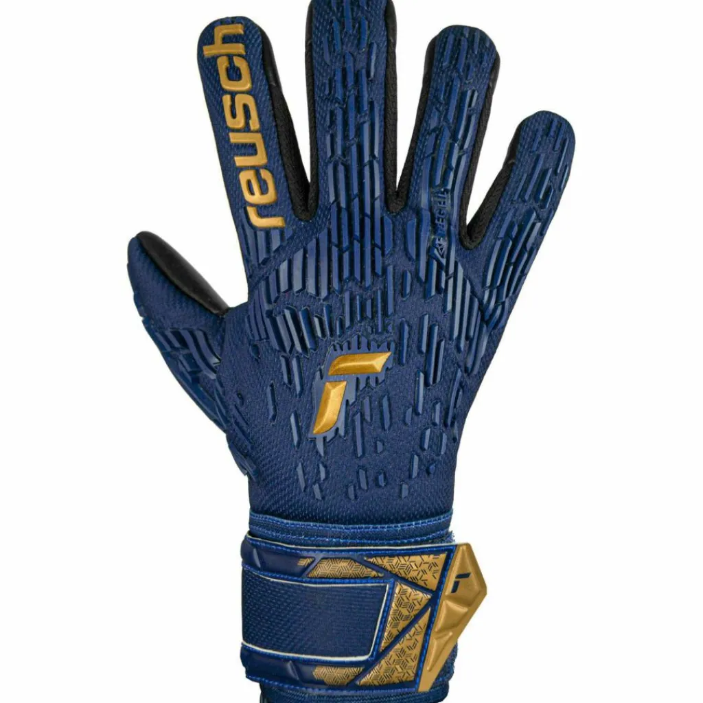 Reusch Handschuhe|Handschuhe<· ATTRAKT FREEGEL SILVER premium blue-gold-black
