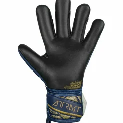 Reusch Handschuhe|Handschuhe<· ATTRAKT FREEGEL SILVER premium blue-gold-black