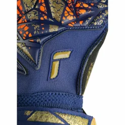 Reusch Handschuhe|Handschuhe<· Attrakt Gold X Evolution 4411 premium blue/gold/black
