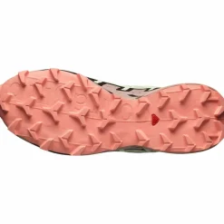 Salomon Trailrunning|Trailrunning<· GTX SPEEDCROSS 6 GTX lime cream-mahogany rose-black