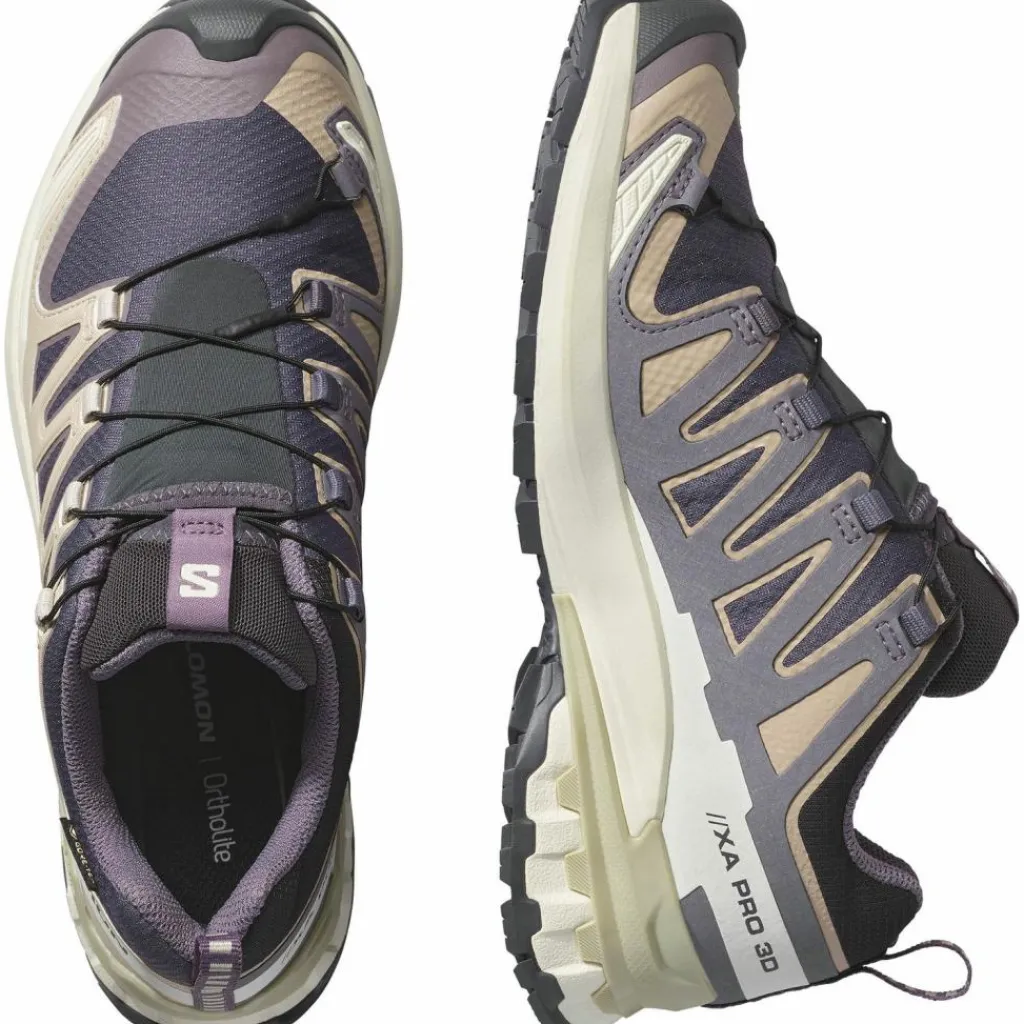 Salomon Wandern|Nordic Walking<· GTX XA PRO 3D V9 nine iron-oxford tan-alfalfa