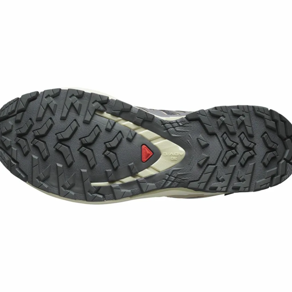 Salomon Wandern|Nordic Walking<· GTX XA PRO 3D V9 nine iron-oxford tan-alfalfa