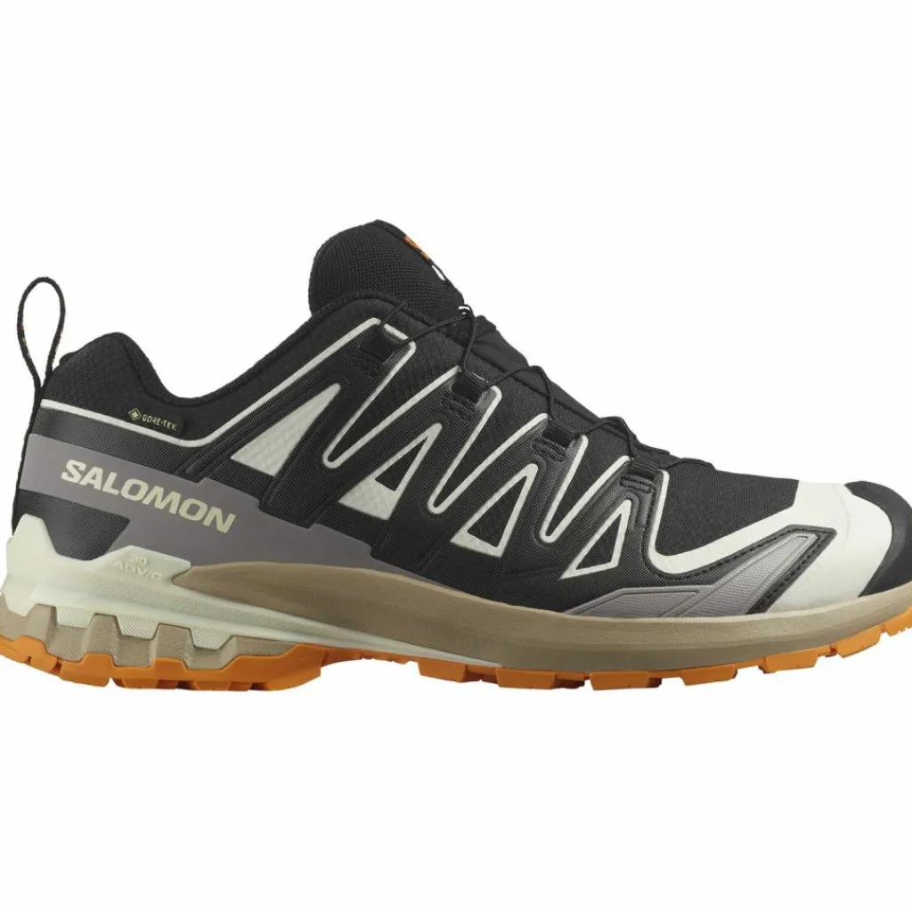 Discount · GTX XA PRO 3D V9 Herren Nordic Walking|Multifunktionsschuhe
