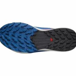 · SENSE RIDE 5 Herren Trailrunning|Trailrunning